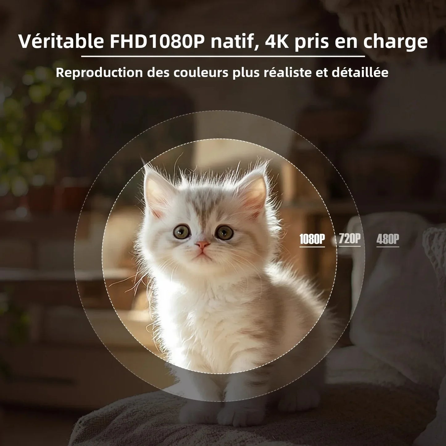 Magcubic – projecteur natif 1080P 650ANSI 4K Android11 L018, avec Correction automatique du Keystone, mise au point, Wifi6 BT5.2, film Portable pour l'extérieur