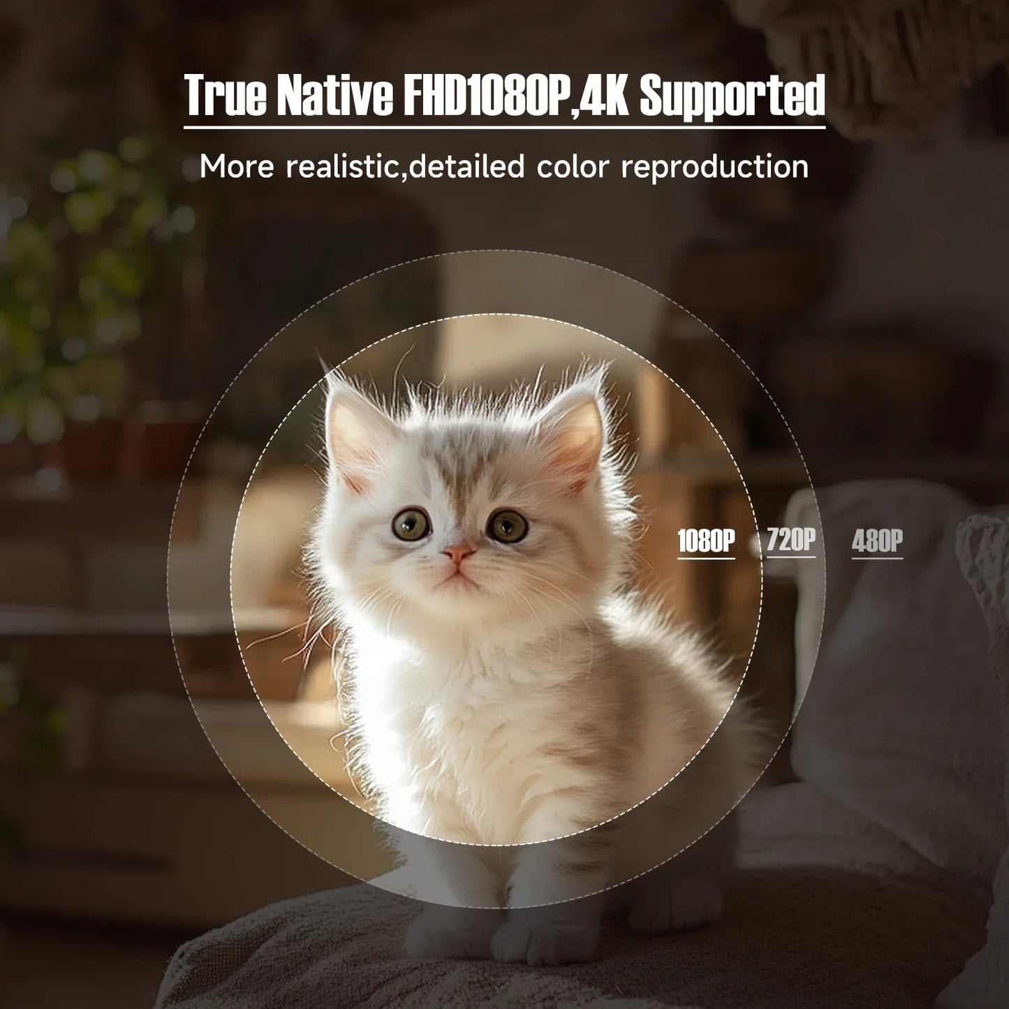 Magcubic – projecteur natif 1080P 650ANSI 4K Android11 L018, avec Correction automatique du Keystone, mise au point, Wifi6 BT5.2, film Portable pour l'extérieur