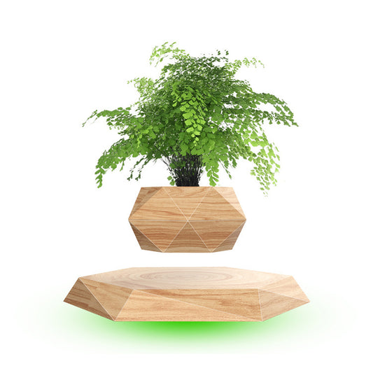 Magnetic Floating Bonsai – Creative Plant Display