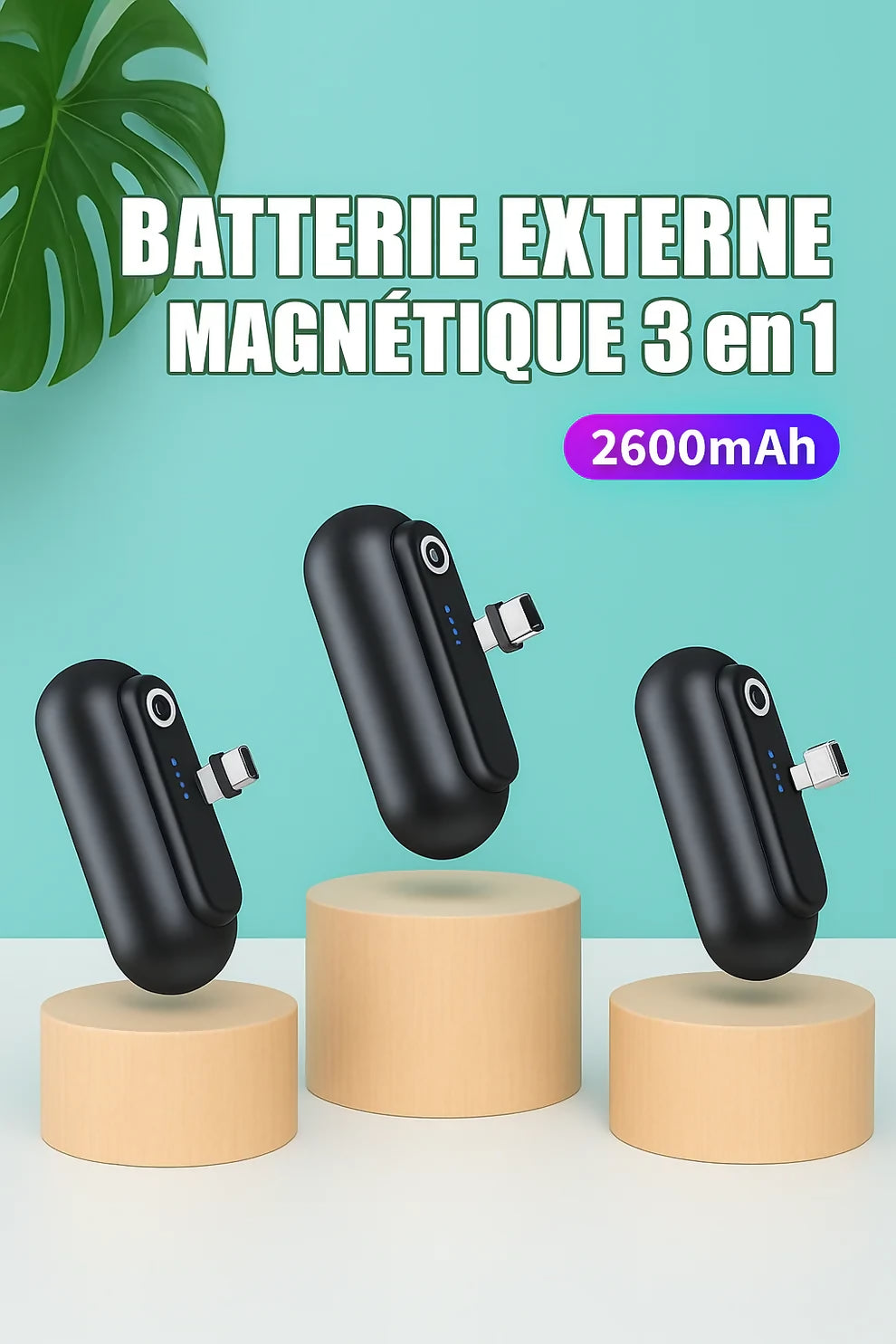 Chargeurexterne2_1