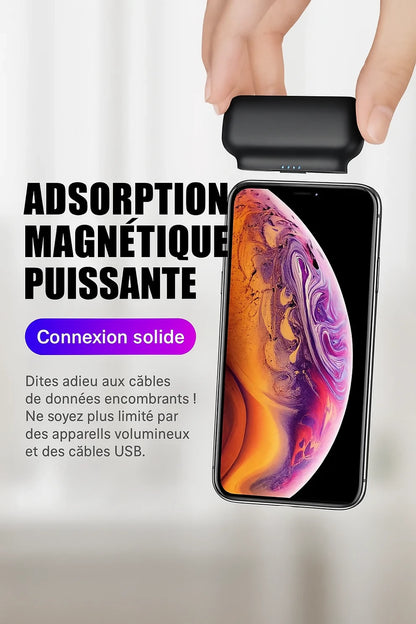 Chargeur_externe_6 (1)