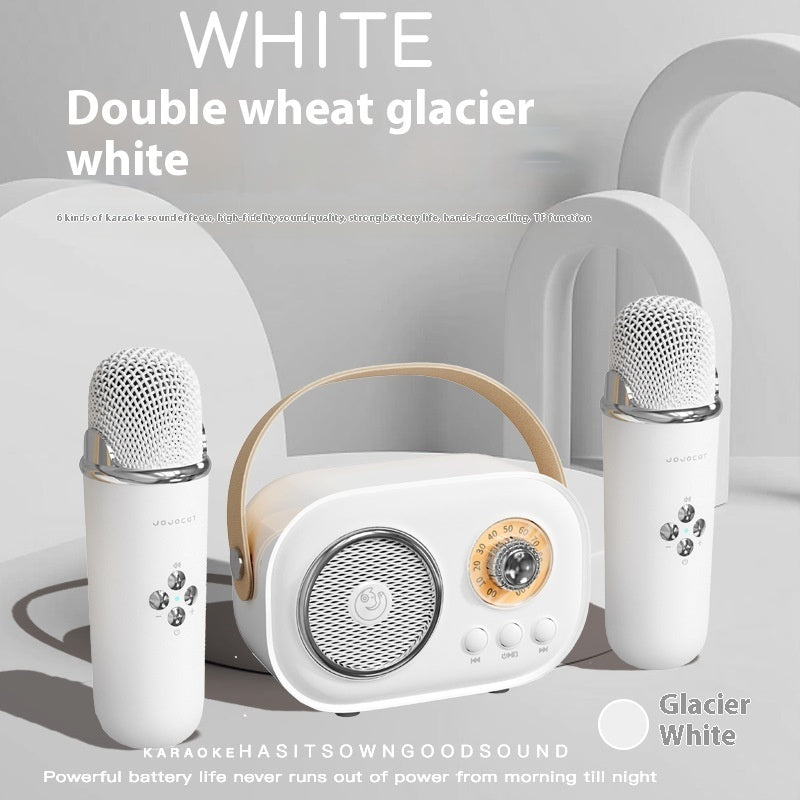 Portable Bluetooth Karaoke System