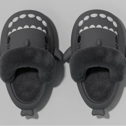 PANTOUFLESREQUIN9