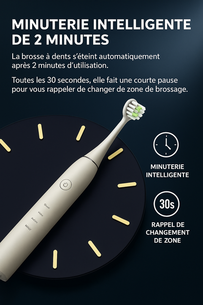 Brosse 2