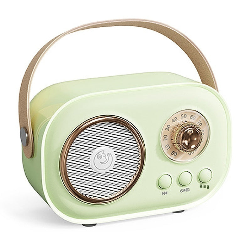 Portable Bluetooth Karaoke System