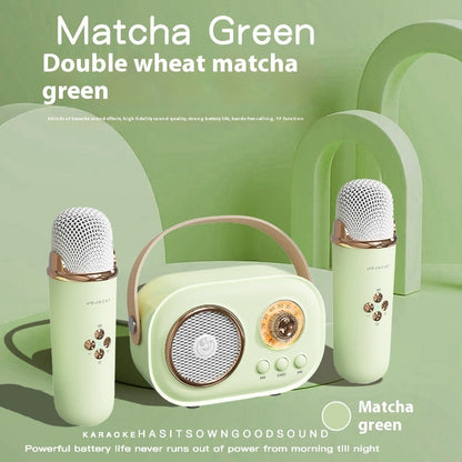 Portable Bluetooth Karaoke System