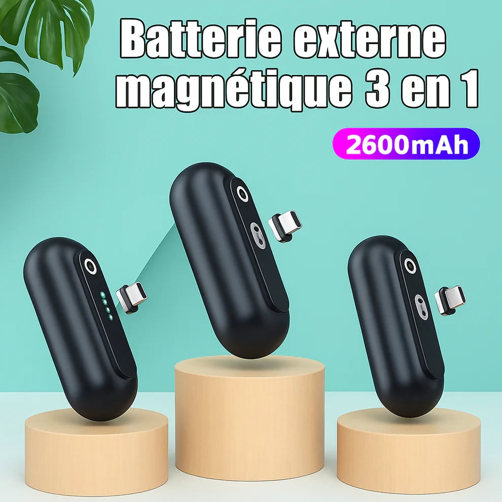 Chargeur_externe_2_2